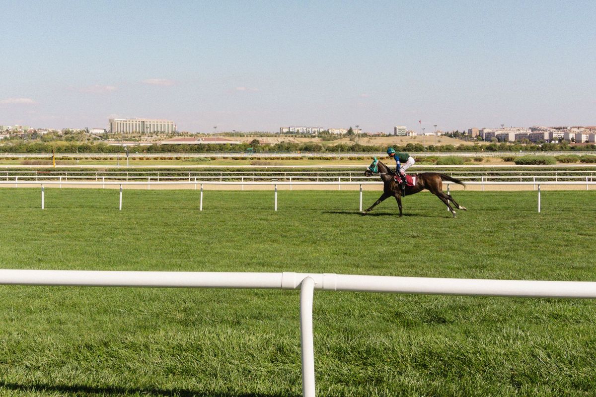 Affordability Checks: New Twist in UK Horseracing Debate