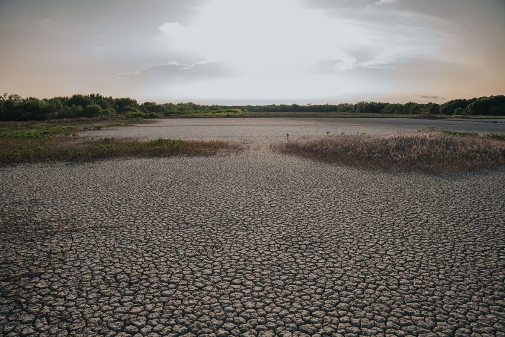 Pollution Decline Linked to Heatwave Surge