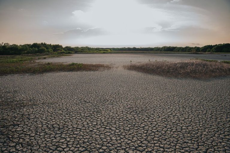 Pollution Decline Linked to Heatwave Surge