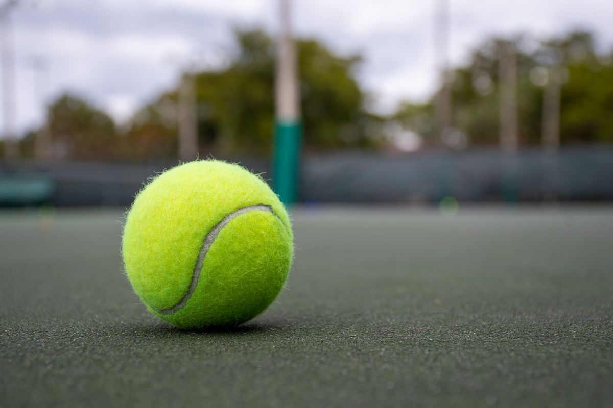 Sabalenka Urges Wimbledon to Lift Dog Ban