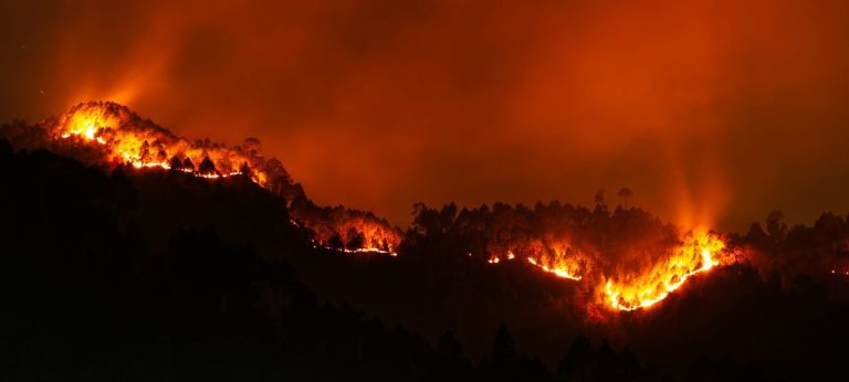 UK Wildfire Statement Highlights South West Risk