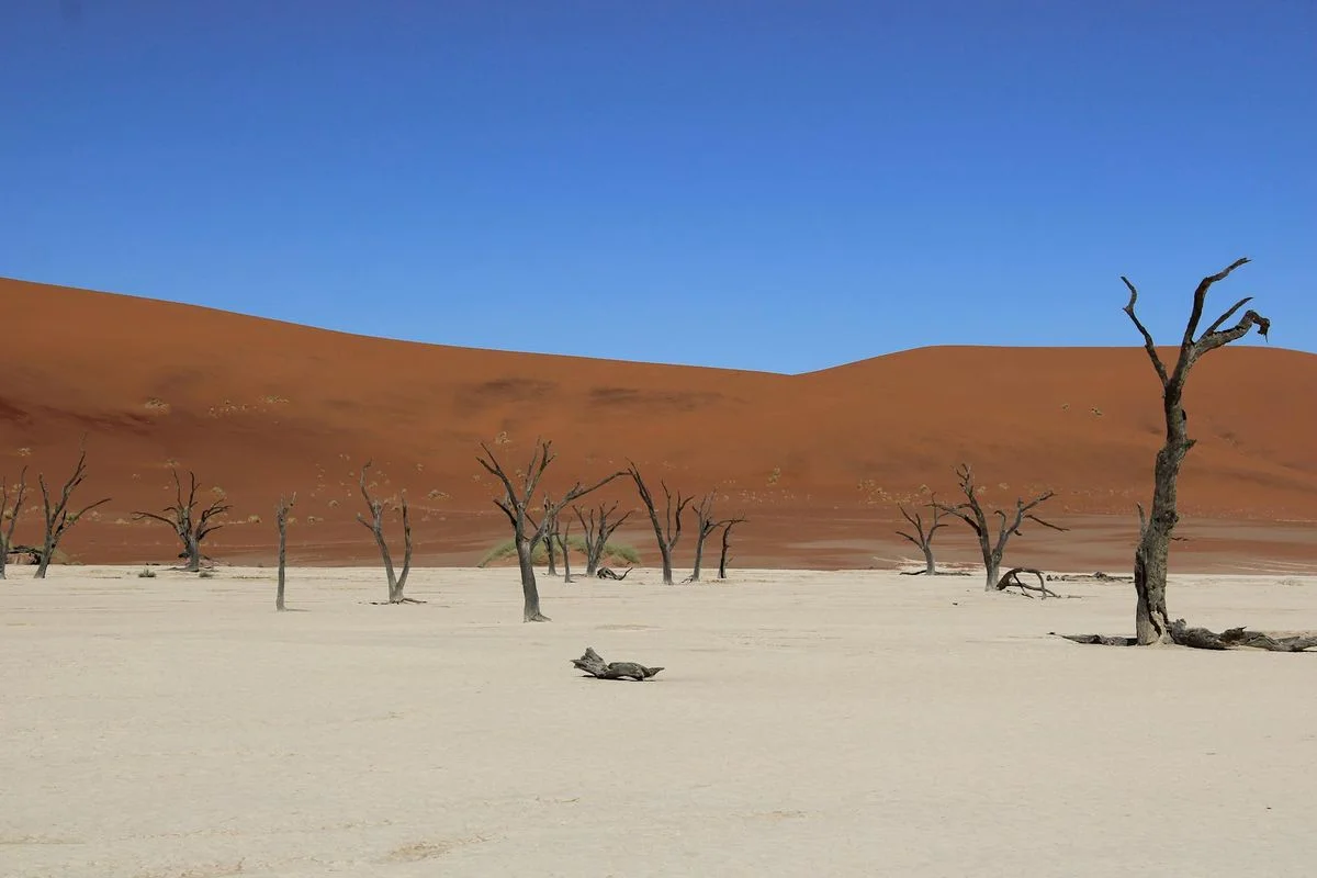 New Nonstop Flights Boost Namibia Travel Accessibility