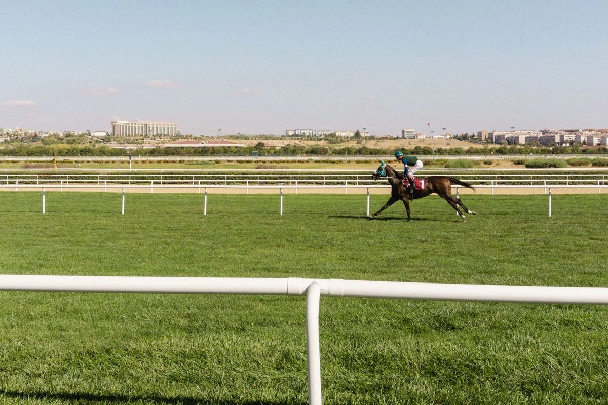 Affordability Checks: New Twist in UK Horseracing Debate