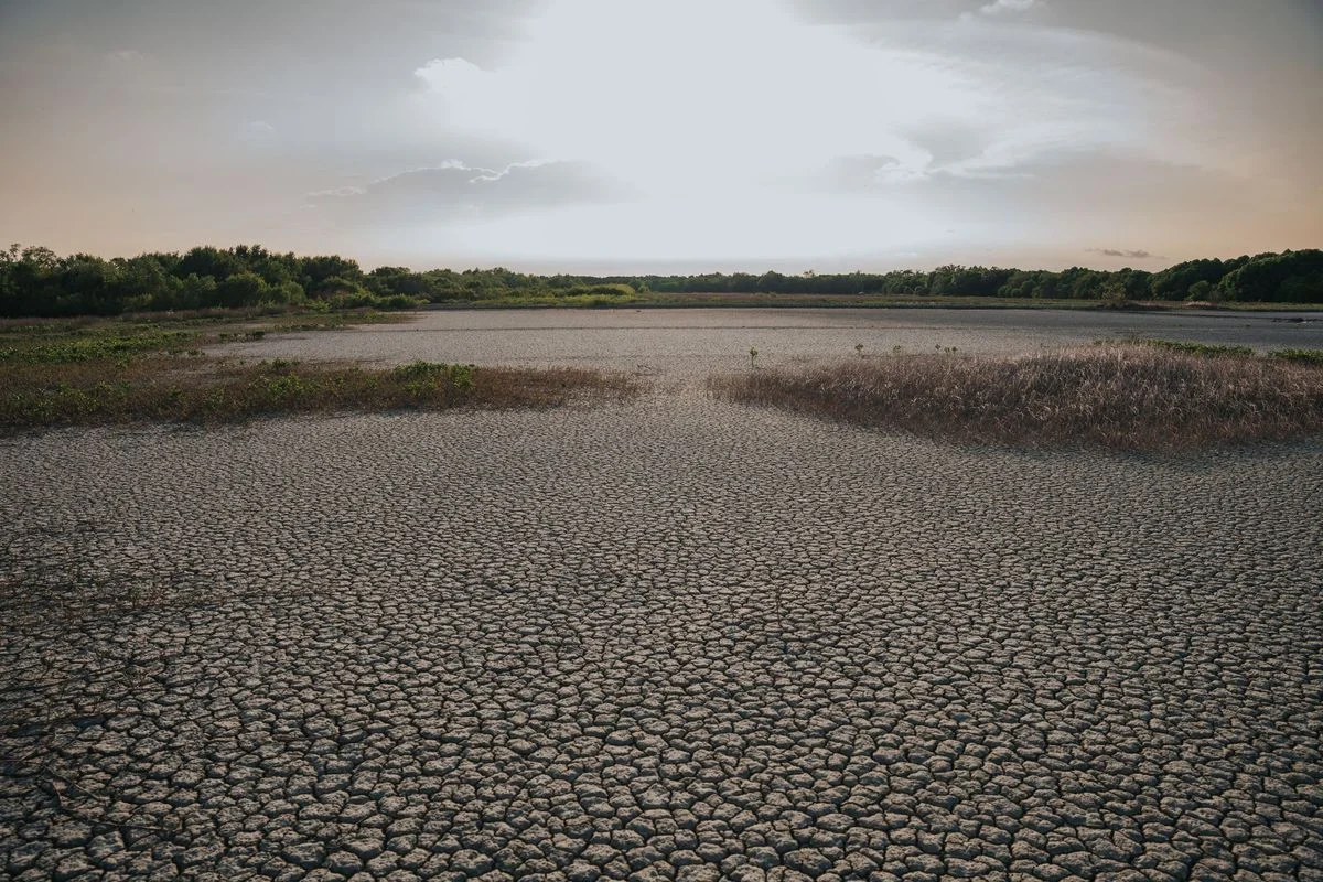 Pollution Decline Linked to Heatwave Surge