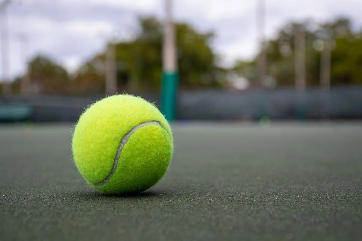 Sabalenka Urges Wimbledon to Lift Dog Ban