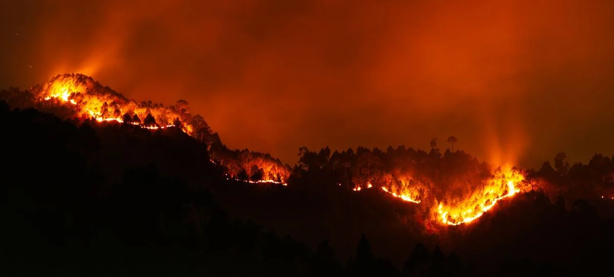 UK Wildfire Statement Highlights South West Risk